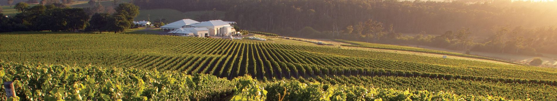 Advertised Development Applications - BODC